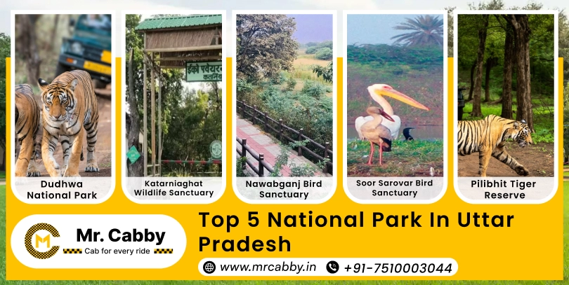 Top 5 National Park in Uttar Pradesh