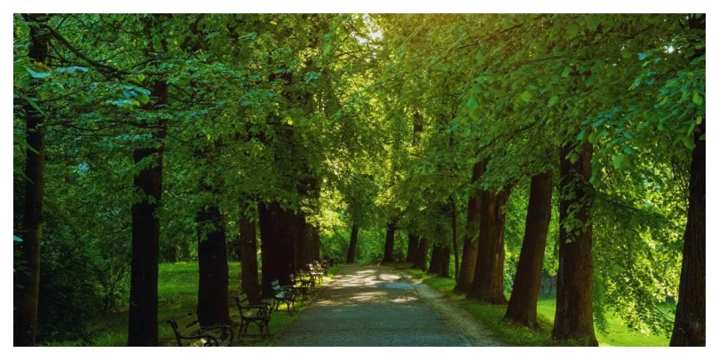 Ahmedabad’s Oxygen Park and its Environmental Features